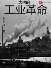 大明的工業革命 cover 封面