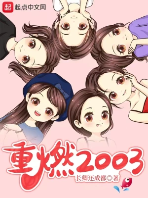 重燃2003 cover 封面