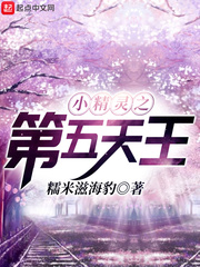 小精靈之第五天王 cover 封面