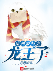 哈利波特之龍王子 cover 封面